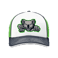 New Hat Sticker by Ozball