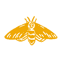Deaths Head Moth Fly Sticker