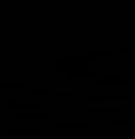 Experience GIF by Life University