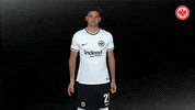 Lucas Alario Football GIF by Eintracht Frankfurt