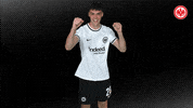 Lets Go Football GIF by Eintracht Frankfurt