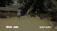 katikati showmax GIF