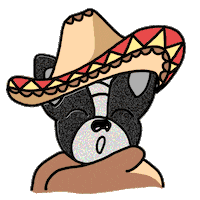 happy fun Sticker by Ivo Adventures