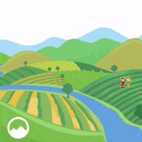 Good Morning Sunrise