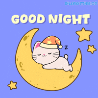 Sleepy Good Night GIF by Silly Kitties