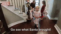 What Santa Brought!