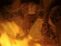 fernando GIF by ABBA