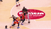 Liga Endesa Basketball GIF by ACB