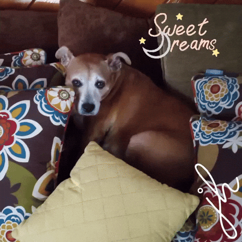 FreeSpiritedHippie giphyattribution love goodnight best friend GIF