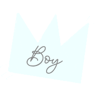 Birthday Boy Sticker