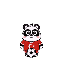 Football Soccer Sticker by Tiny Minies