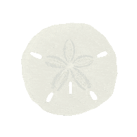 Sand Dollar Beach Sticker
