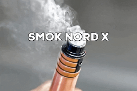 fsaaat giphygifmaker smok nord x smok nord GIF