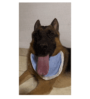 Sticker Panting Dog Sticker