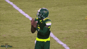 Quinton Flowers Usf GIF by SoFloBulls