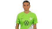 Football Come In Sticker by VfL Wolfsburg