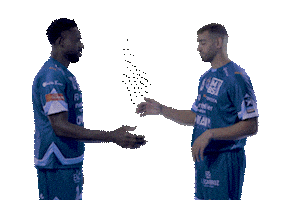 Mhb Sticker by Montpellier Handball