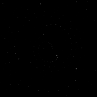 Art Loop GIF by Orla in Berlin