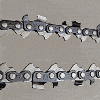 Garden Georgia GIF by Spektr