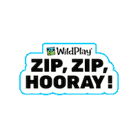 Party Brand Sticker by Wildplay
