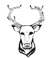 Bucks Sticker by Buck's Hard Goods