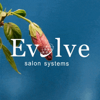 GIF by Evolve
