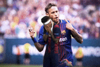 World Cup Fan GIF