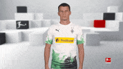 Line Up Reaction GIF by Bundesliga
