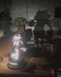 Re9 Raccooncity GIF by Respective