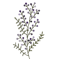 Flower Plants Sticker