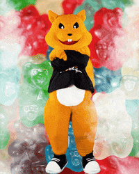 Fire Squirrel GIF by Seedstockers