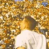 Lets Go Sec GIF by Goodyear Cotton Bowl Classic