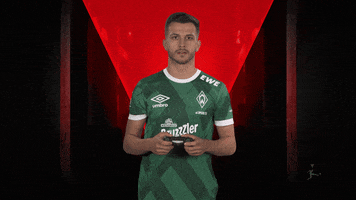 Fifa Wtf GIF by Bundesliga