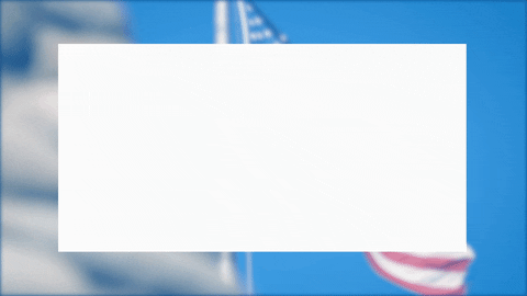 hilary-schenker giphyupload pennsylvania election2020 nonakedballots GIF