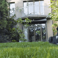 KauflandBulgaria dog roll trick kaufland GIF