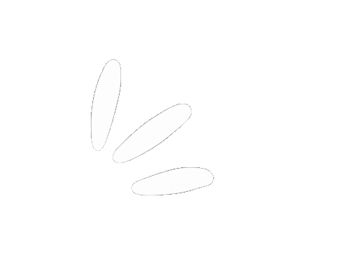Draw Paint Sticker