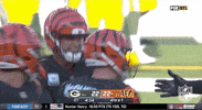Football Sport GIF by NFL