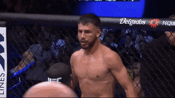 Mixed Martial Arts Sport GIF by UFC