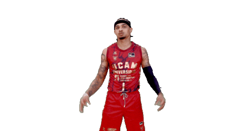 Liga Endesa Basketball Sticker by ACB