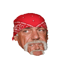 Hulk Hogan Sticker by imoji