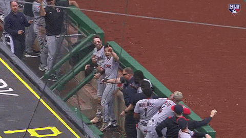 Sport Yelling GIF by MLB