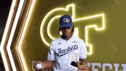 Georgia Tech Baseball GIF by Georgia Tech Yellow Jackets