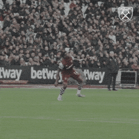 Premier League Sport GIF by West Ham United