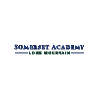 Academica Schools Sticker by Academica