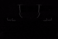 Car Eyes GIF