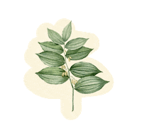 Le Coquelicot Shop Sticker by Tana Rendon
