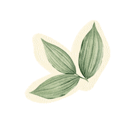 Le Coquelicot Shop Sticker by Tana Rendon