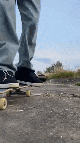 leasantise giphyupload GIF