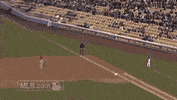fan wow GIF by MLB