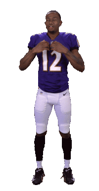 Baltimore Ravens Sticker Sticker by NFL